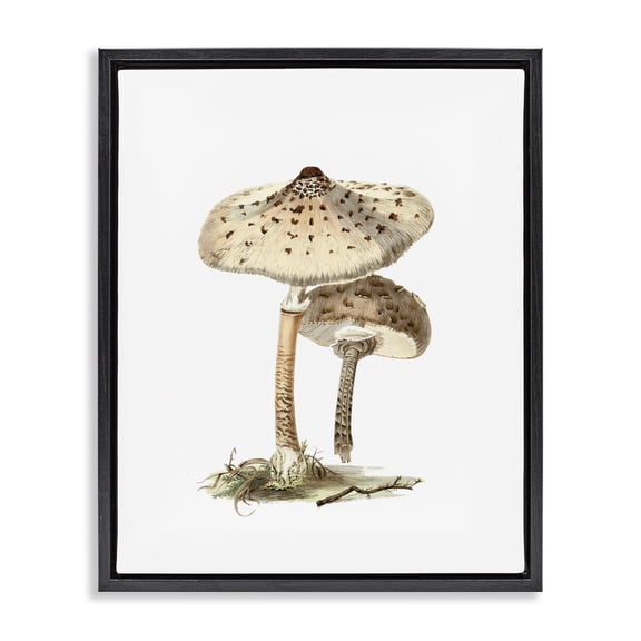 Stupell Industries Neutral Brown Mushrooms Botanical & Floral Painting Black Floater Framed Art Print Wall Art, 17 x 21