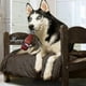 thumbnail image 2 of Dog Plush Toys Funny Squeak Toy Stuffed Soft Dog Chew Toys Burning Cigar, 2 of 3