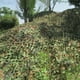EIMELI Multi Size Woodland Camo Camouflage Net – image 3 sur 10