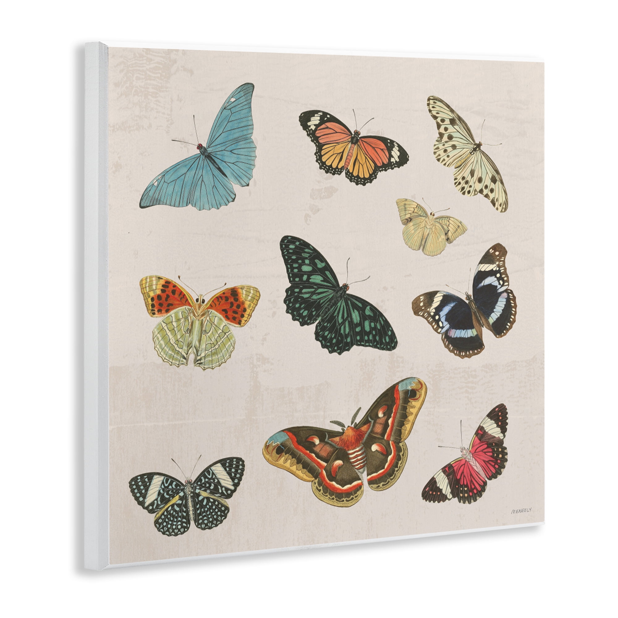 Stupell Industries Vintage Butterfly Flight Wall Plaque Art, design by Dan Meneely