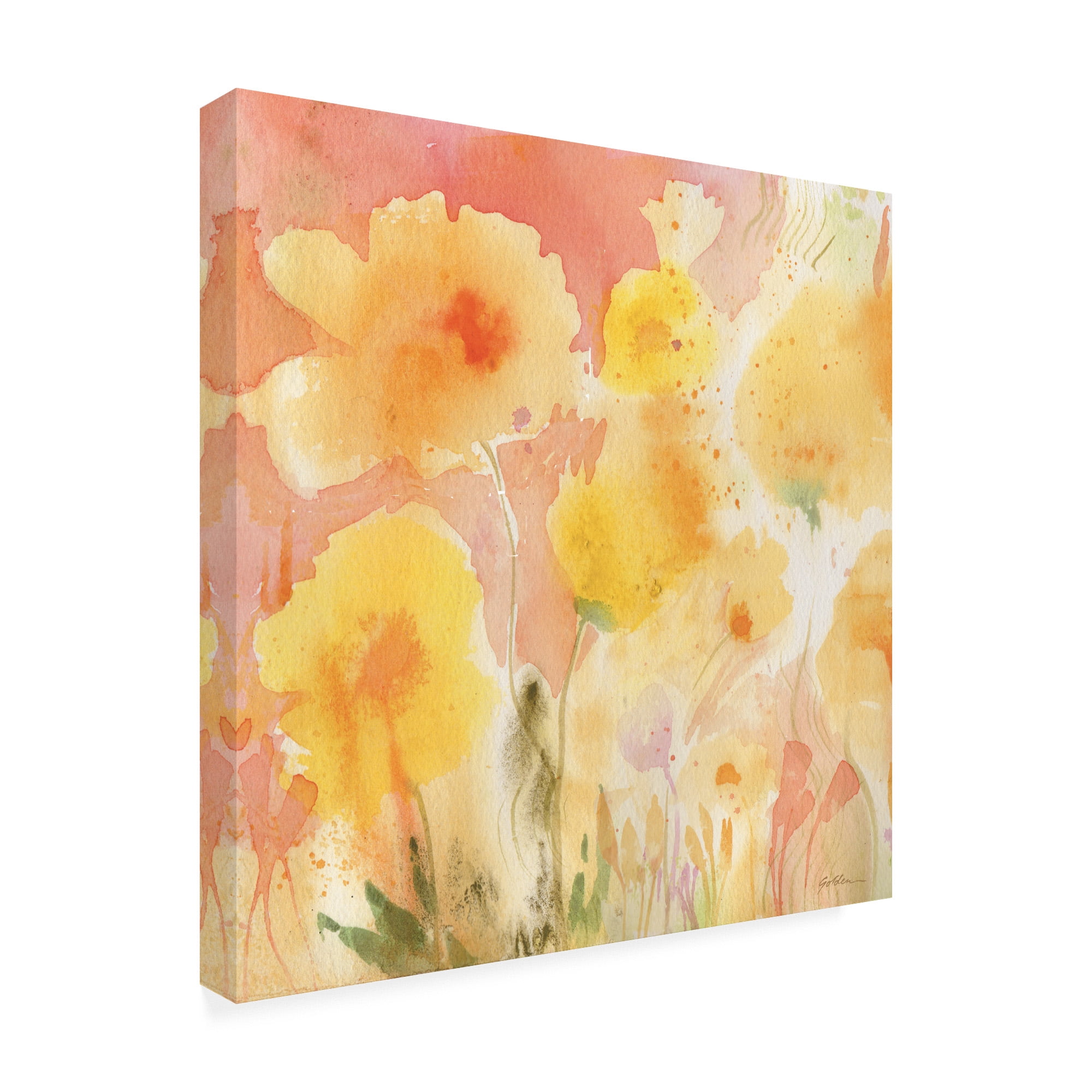 Trademark Fine Art 'Coral Sky, Yellow Garden 2' Canvas Art by Sheila Golden