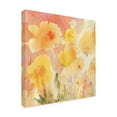 thumbnail image 2 of Trademark Fine Art 'Coral Sky, Yellow Garden 2' Canvas Art by Sheila Golden, 2 of 3