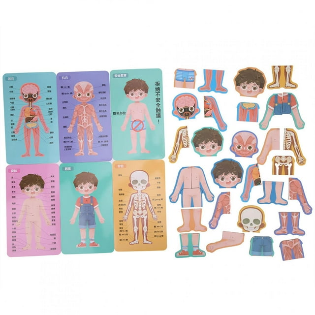 Tarjeta de Conocimiento del Cuerpo, ni?os, Madera, Cuerpo Humano, Estructura de órganos, cognición, Rompecabezas, Juguete, Juguetes educativos tempranos, Regalo para ni?os y ni?as(#1) Unbranded 2013200077211
