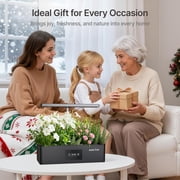 Suncoze 12 Pod Hydroponic Growing System, Indoor Herb Garden with 24W LED Grow Light, 4L Water Tank, Black