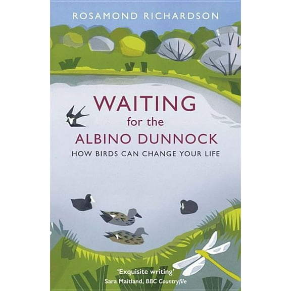 Waiting for the Albino Dunnock: How Birds Can Change Your Life (Paperback)