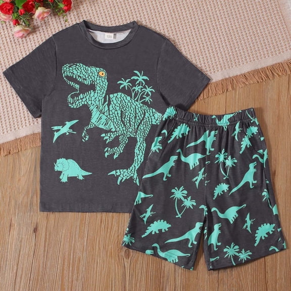 SGFCWSX Boys Summer Outfits Short Sleeve Top and Elastic Waist Shorts Dinosaur Graphic Casual Daily Playwear for Kids Dark Gray Size 7