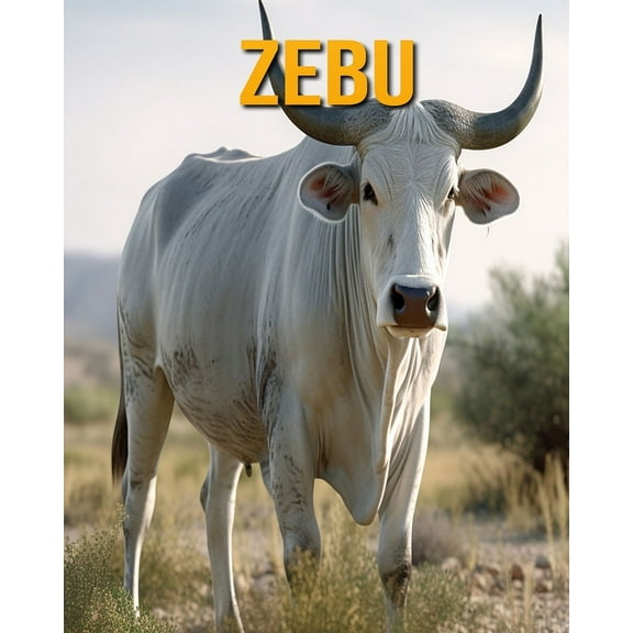 Zebu: Fun Facts Book for Kids, (Paperback)
