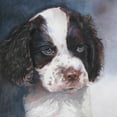 thumbnail image 2 of Fagan, Edie 12x12 Gold Ornate Wood Framed with Double Matting Museum Art Print Titled - Minnie Springer Spaniel, 2 of 4