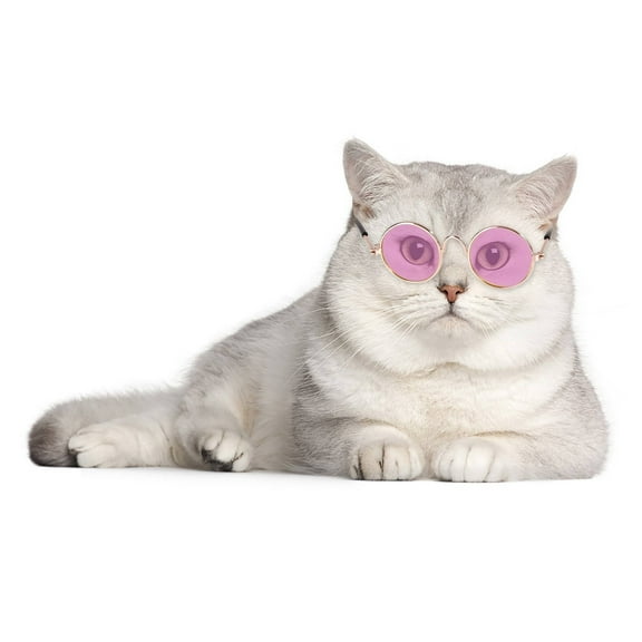 FYTPOV Cat Dog Sunglasses, Funny Pet Glasses, Classic Retro Sunglasses, Cute Dog Cat Cosplay Party Costume Photo Props Cosplay Glasses