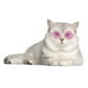 thumbnail image 3 of Fiudx Gafas de Sol para Mascotas, Montura Redonda Retro de Moda, Diseño de Lentes Reflectantes, Accesorio Genial para Mascotas, Ligeras y Cómodas, Ideales para Sesiones de Fotos, Fiestas y Bodas, Tam, 3 of 6