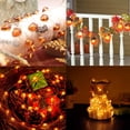 thumbnail image 7 of Acorn String Lights Battery Operated,13ft 40LED Acorn Fairy Light, 8 Lighting Modes with Remote for Thanksgiving Festival Indoor Fireplace Mantel Autumn Decoration, 7 of 7