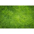 thumbnail image 3 of Fondo de fotografía con hojas verdes, hierba primaveral, montón de heno, para recién nacidos, cumpleaños, bodas, fiestas, accesorios para estudio fotográfico, 3 of 5