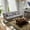 Gray, variant on COMHOMA 73″ W Convertible Futon Sofa Bed with Adjustable Backrest Fabric Futon Couch,Dark Black