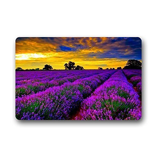 RYLABLUE Lavender Hometown Doormat Floor Mats Rugs Outdoors/Indoor Doormat Size 23.6x15.7 inches