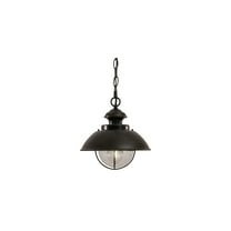 Coastal Outdoor Pendant Light - Bronze Steel & Seeded Glass - Adjustable Barn Lantern