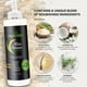 thumbnail image 2 of Herbishh Rice Water Hair Growth Shampoo - 400ml with Power of Castor Oil, Argan & Coconut Oil & Biotin | All Hair Type | Hair regrowth for Thinning Hair, Moisturizing & Volumizing | Silicone Free, 2 of 8