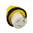 thumbnail image 2 of PIGTAIL ADAPTERS AND PLUGS RV, 2 of 2