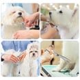 thumbnail image 7 of Professional Pet Grooming Scissors Kit, Safety Round Tip Stainless Steel Scissors & Comb for Dogs Cats, 7 of 7