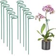 thumbnail image 1 of 10 piezas de estacas para plantas de interior, tallo de jardín, soporte de flores, soporte de plantas de bucle único, estacas de Amaryllis, soporte, soporte para flores, 1 of 5