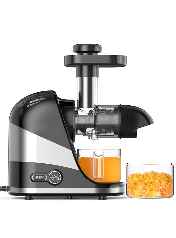 Masticating Juicers in Juicers