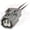 Plug, variant on Ballenger Motorsports - 2 Way Sumitomo HX 040 Connector Receptacle Assembly, Low Keyway, Gray