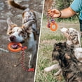thumbnail image 5 of Juguete de cuerda para perros con anillo, cuerda indestructible, anillo de juguete para perros, juguetes interactivos para masticar de goma para mascotas pequeñas y agresivas, (L), 5 of 5