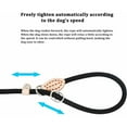 thumbnail image 4 of Jinsinto1.5m Nylon Dog Leash, Black Rope Dog Leash, Rope Dog Leash, Dog Training Leash, Sliding Dog Leash, Dog Lasso Leash, Dog Leash Collar for Small and Medium Dogs, 4 of 5