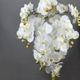 thumbnail image 7 of CLoxks 2 Pcs Orchid Stems Artificial Flowers Real Touch Latex Phalaenopsis 38 Inch Artificial Orchid Branches 9 Heads Fake Phalaenopsis Flowers,for Vase Wedding Party Home Garden Decor,White, 7 of 7