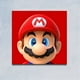 thumbnail image 3 of Cuadro Decorativo Mario Bros Mario Cara Canvas Listo Para Colgar 30x45cm Jungle Art Impresion Tela Arte, 3 of 6