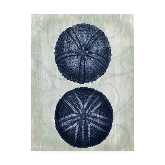 Trademark Fine Art 'Indigo Blue Sea Urchins a' Canvas Art by Fab Funky
