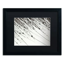 Trademark Fine Art "Her Wishes" Canvas Art by Beata Czyzowska Young, Black Matte, Black Frame