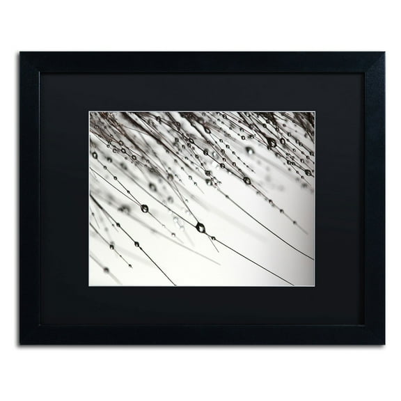 Trademark Fine Art "Her Wishes" Canvas Art by Beata Czyzowska Young, Black Matte, Black Frame