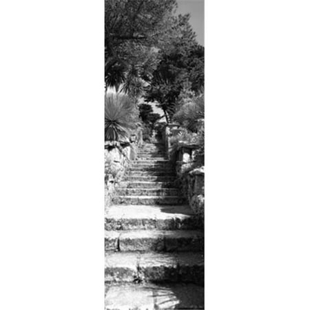 Low angle view of steps in a garden  Neptunes Steps  Tresco Abbey Garden  Tresco  Isles Of Scilly  England Poster Print by  - 12 x