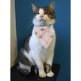 thumbnail image 2 of Kiddie Kitten Paw Print Pattern Bandana  -Image by Shutterstock,  Small, 2 of 4