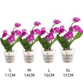 thumbnail image 3 of Clear Plastic Mesh Orchid Pot, Breathable Root Control Plant Container With Drainage Holes, Transparent Growth Net Pot For Garden Potted Plants, 3 of 3