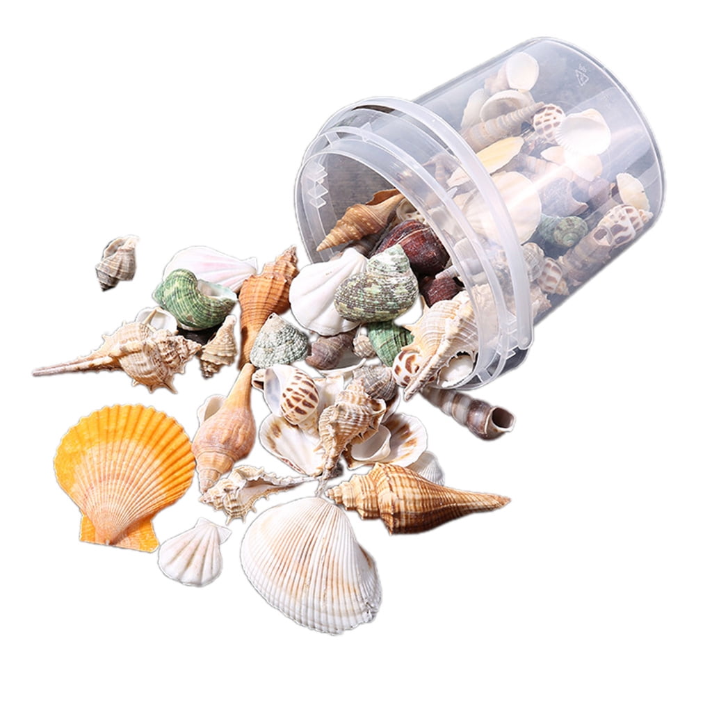 Sea Shells Aquarium Decor Mixed Beach Seashells Starfish Sea Snail Sea