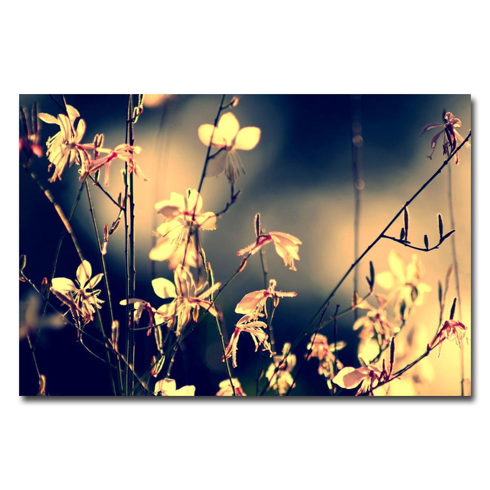 Trademark Fine Art Young 'Sunshine in my Garden' Canvas Art by Beata Czyzowska