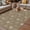 Beige, variant on Brown Daisy Outdoor Rug for Patio/Deck/Porch, Non-Slip Large Area Rug 6 x 9 Ft, Modern Farmhouse Chrysanthemum Floral Indoor Outdoor Rugs Washable Area Rugs, Reversible Camping Rug Carpet Runner