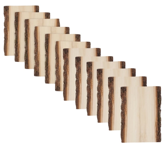 Foggy Bottom Premium Basswood Live Edge Plank, 0.63" X 7 to 9"  X 11", 12-PACK