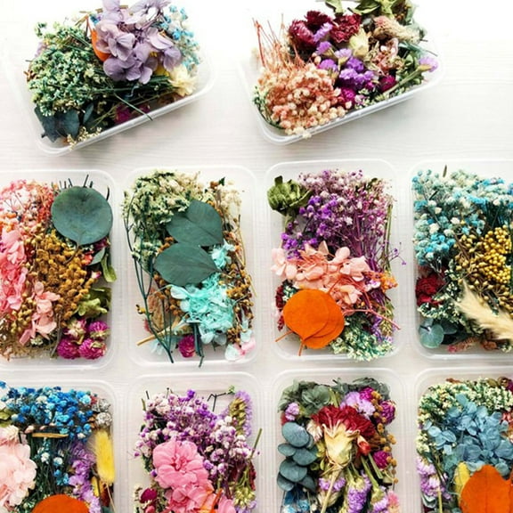 FRCOLOR Dried Flowers for Decor Assorted Color Plastic Natural Beautiful Shape 3 Boxes