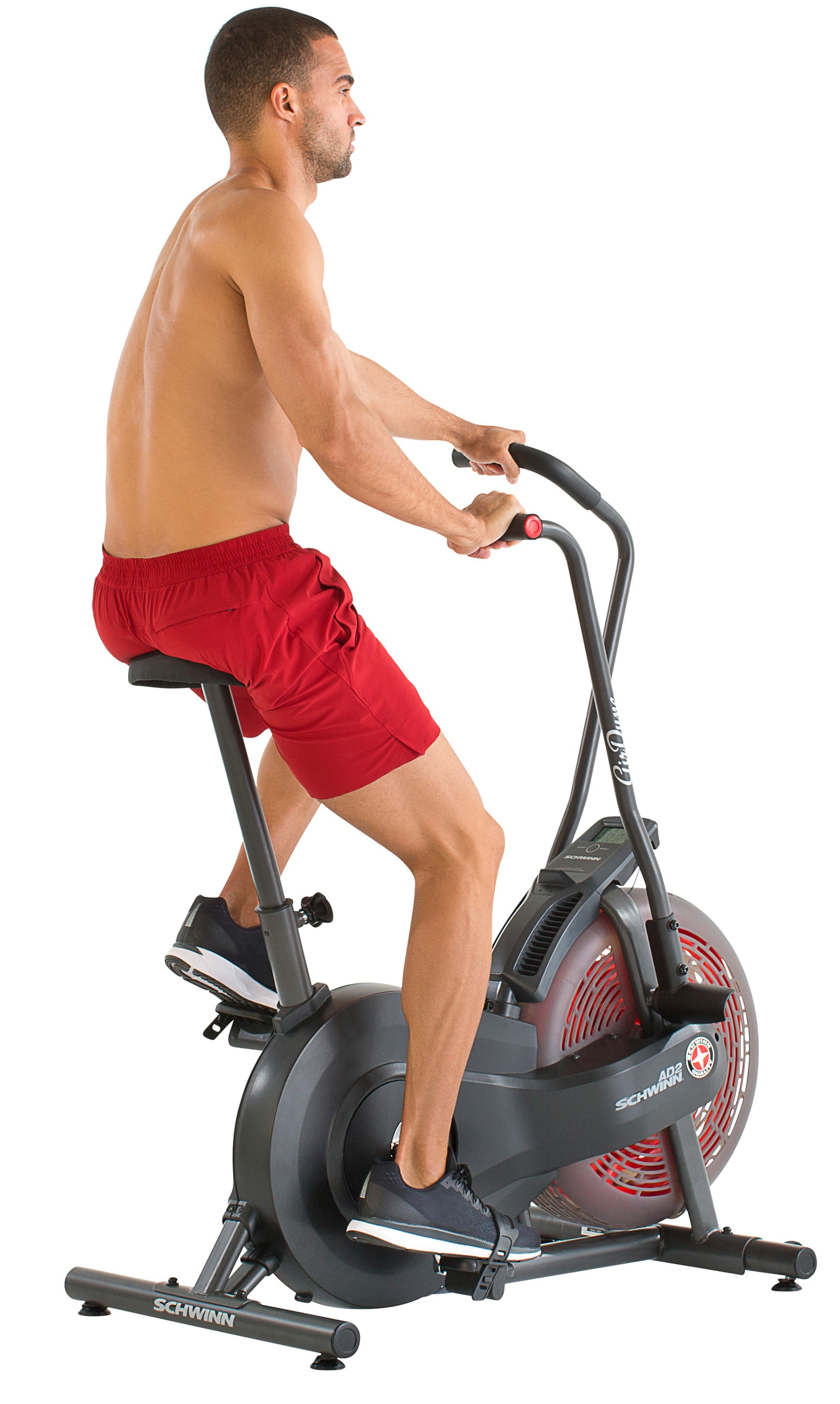 schwinn airdyne ad2