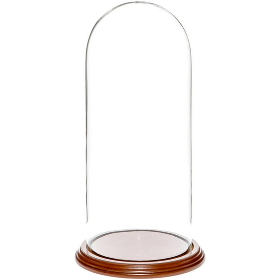 Plymor 5.5" x 13" Glass Display Dome Cloche (Walnut Veneer Base)