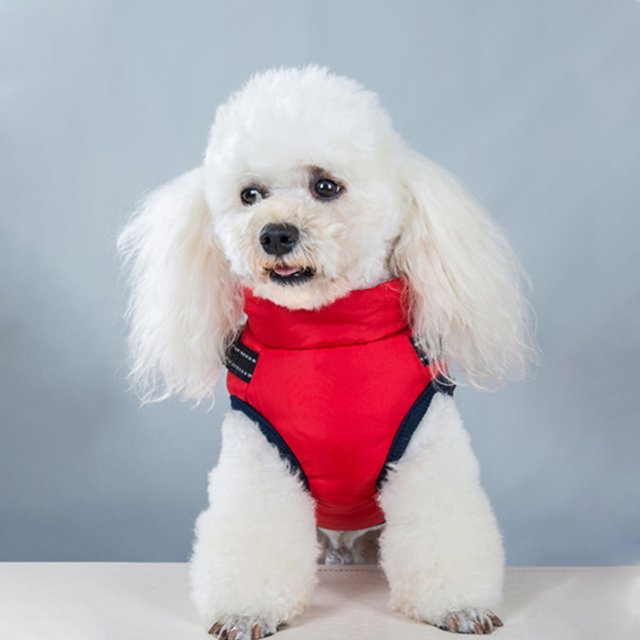 Chaqueta De Perro Chaleco cálido para perros de dos patas suave con cremallera para suministros de invierno para mascotas (rojo L)