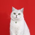 thumbnail image 3 of CBFFDC Collier pour Chat Pendentif Fleur Élégant Collier Perle Fausse pour Animaux de Compagnie, 3 of 7