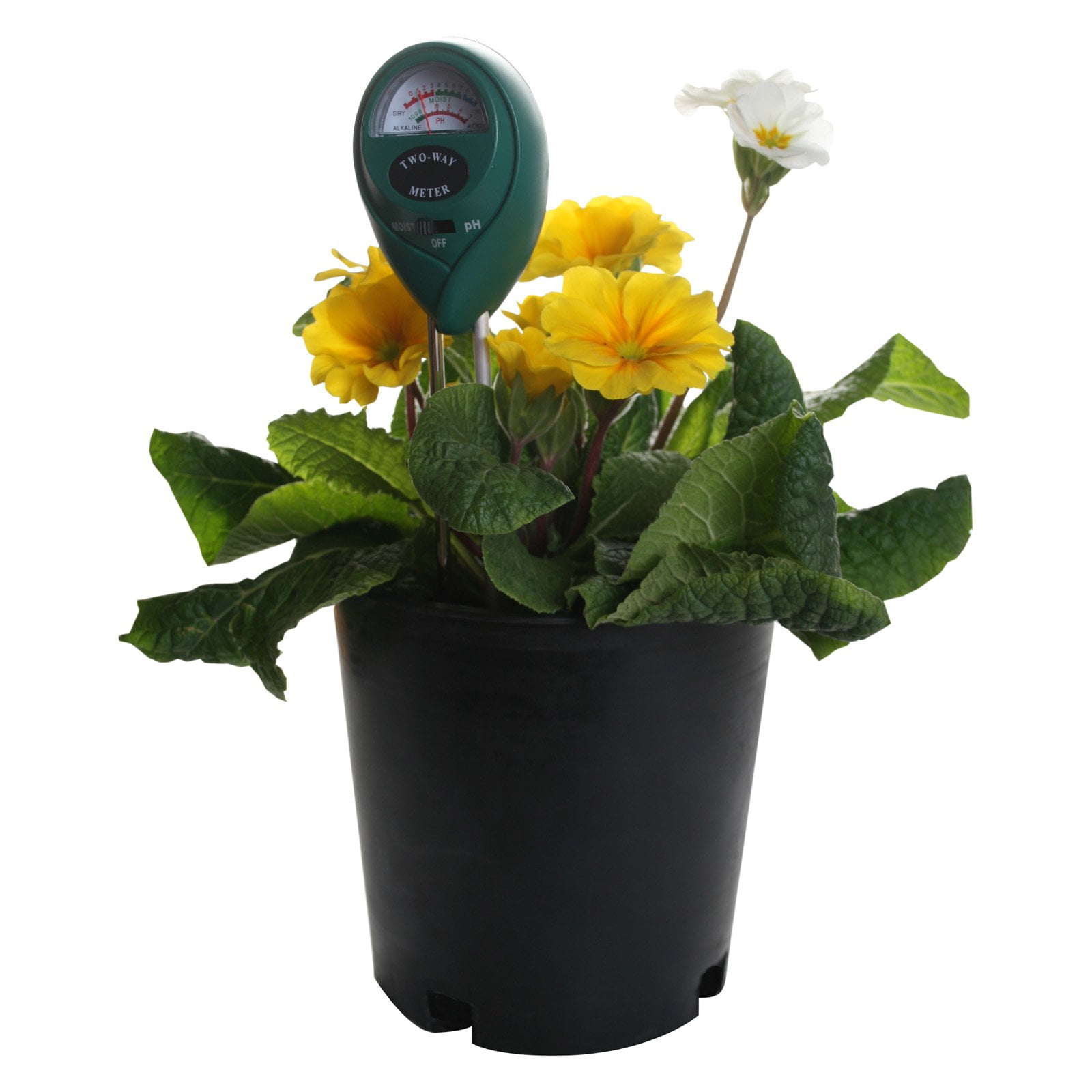 Hydrofarm Active Air 2Way pH and Moisture Meter