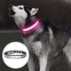 thumbnail image 3 of Collar para perros sin olor de todos los estilos Dublin Dog, 3 of 5