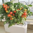 thumbnail image 1 of Self Watering Planter, Automatic Hydroponics Growing System Smart Indoor Garden Planter for Home Flower Vegetable, 1 of 7