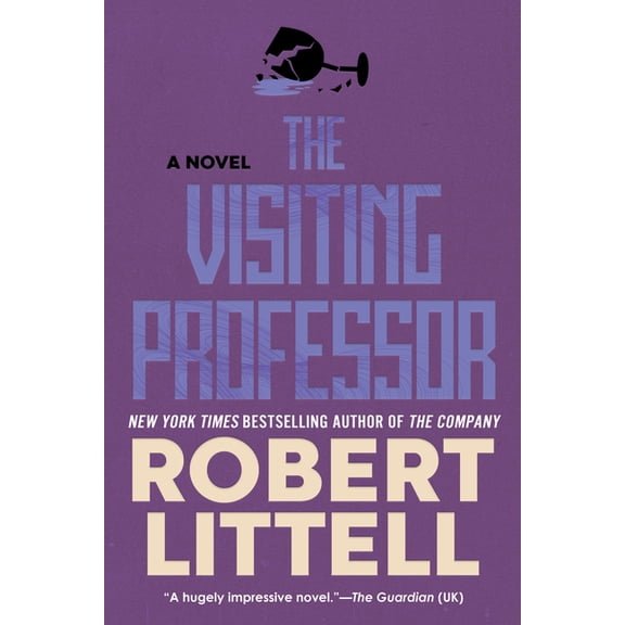 The Visiting Professor, (Paperback)