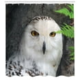 thumbnail image 3 of Ambesonne Wizard Shower Curtain, Magician Pet White Owl, 69"Wx84"L, White Green Black, 3 of 3