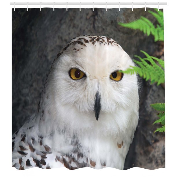 Wizard Shower Curtain Pattern White Owl Themed Animal Green Leaves Amber Eyes Gift Witchcraft Print Fabric Bathroom Set With Hooks White Green Black By Ambesonne Walmart Com Walmart Com